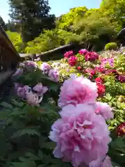 長谷寺(奈良県)