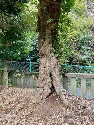 大久保神社(神奈川県)