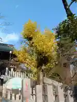 筑波山神社(茨城県)