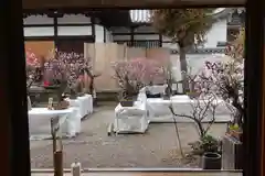 菅原天満宮（菅原神社）の庭園