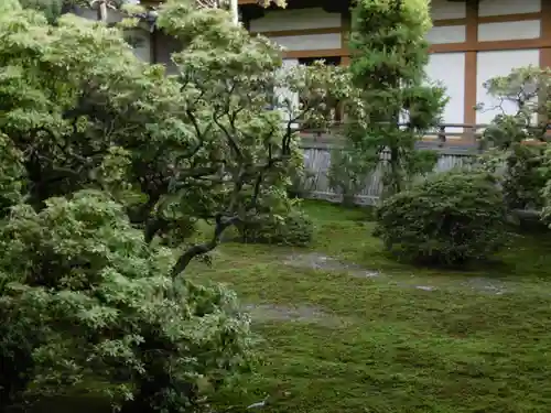 聖護院門跡の庭園