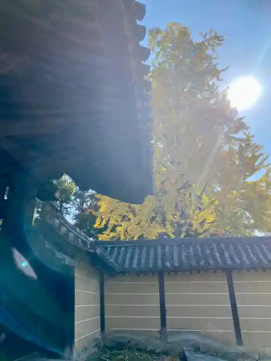 隨心院(随心院)のその他建物