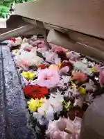 鳩森八幡神社の手水舎