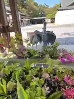 白鷺神社の手水舎