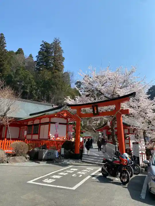 金櫻神社(山梨県)