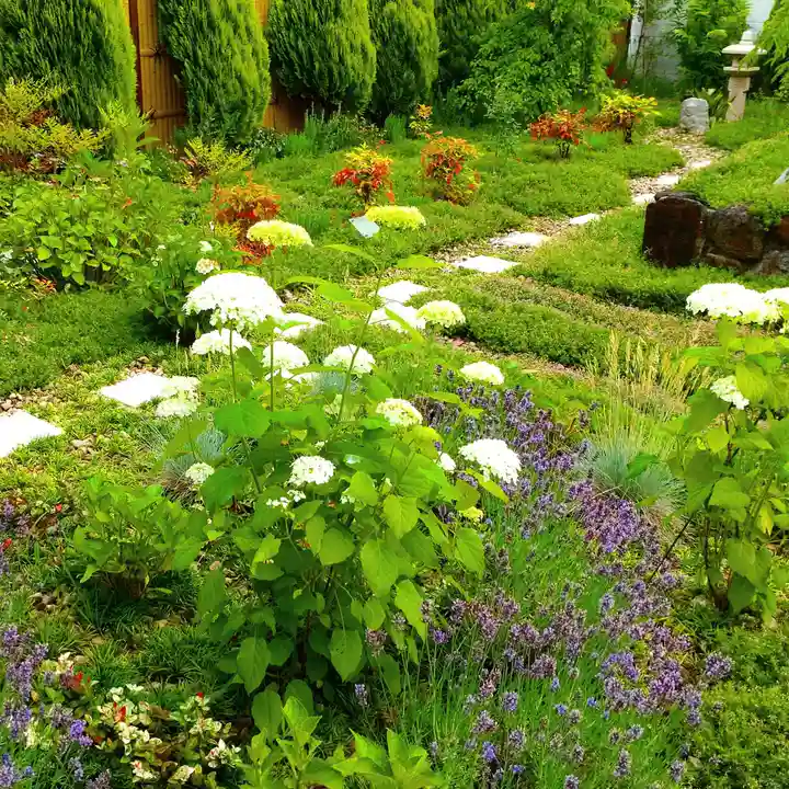 寿量山 速成寺の自然