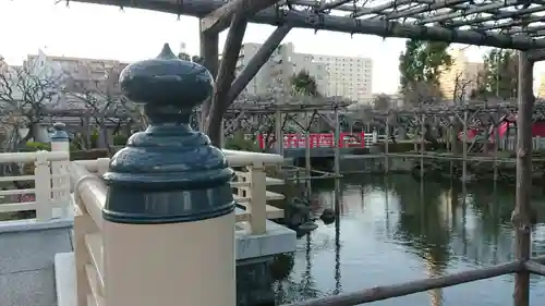 亀戸天神社の庭園