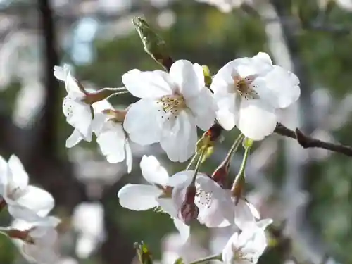 三上神社(滋賀県)