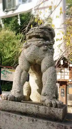 乃木神社の狛犬