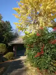 妙泰寺の山門