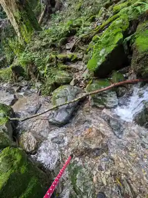 加蘇山神社 奥ノ宮の自然