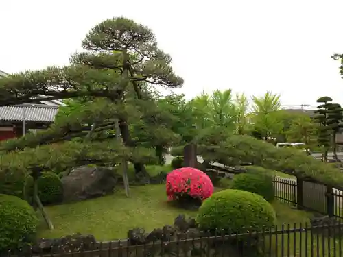 浄光寺の庭園