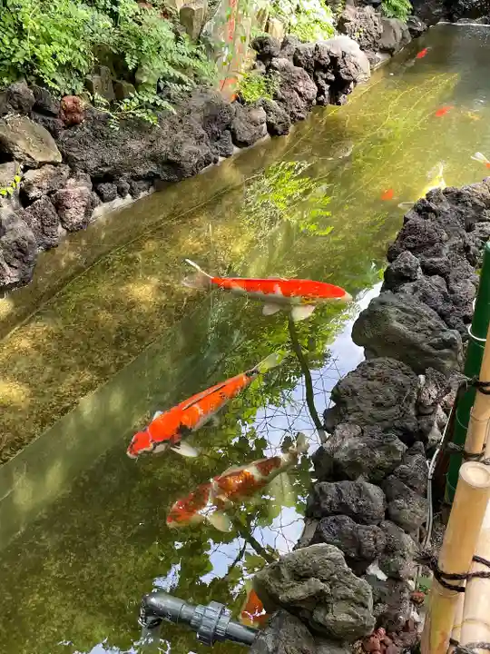 吉原神社(東京都)