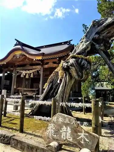 新北神社の建物その他