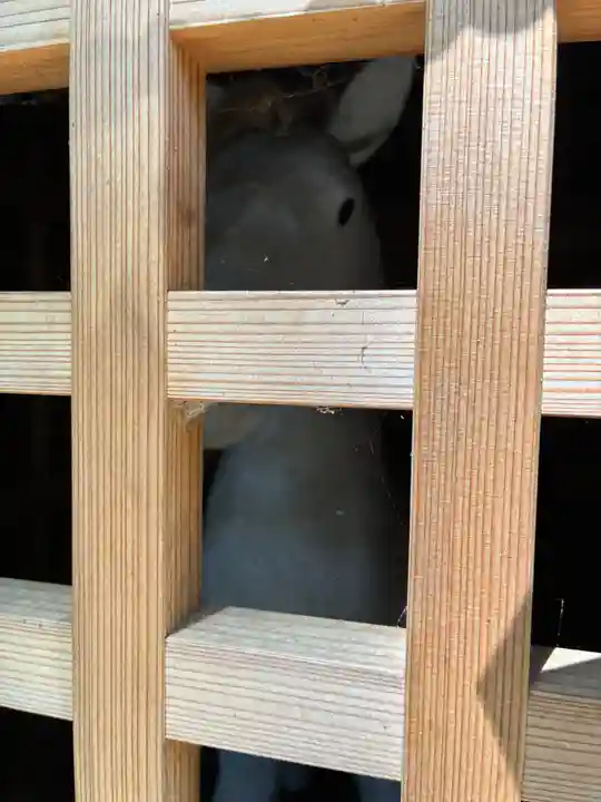 稲荷神社(茨城県)