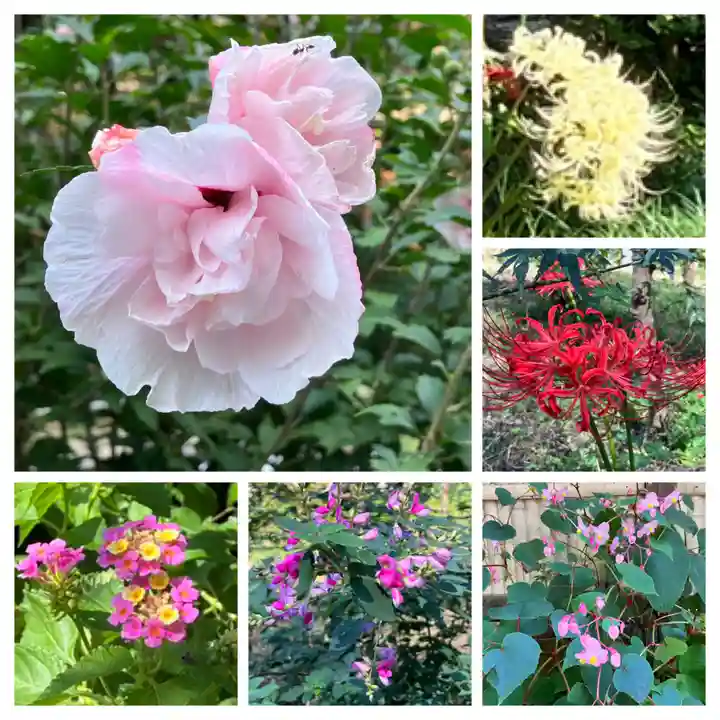 瑞泉寺(神奈川県)