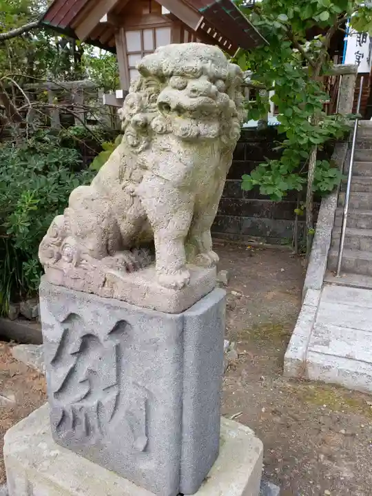 天津神明宮の狛犬