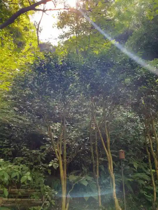 明月院の{uncategorized: "未分類", other: "その他", undefined: "問題あり", building: "その他建物", grave: "お墓", sacred_gate: "鳥居", guardian: "狛犬", statue: "像", buddha: "仏像", history: "歴史", nature: "自然", garden: "庭園", animal: "動物", pagoda: "塔", temizu: "手水舎", mountain_gate: "山門・神門", sanctuary: "本殿・本堂", subordinate: "末社・摂社", art: "芸術", scenery: "景色", jizo: "地蔵", ema: "絵馬", goshuin: "御朱印", omikuji: "おみくじ", items: "授与品その他", amulet: "お守り", goshuincho: "御朱印帳", eats: "食事", festival: "お祭り", votive_dance: "神楽", shichigosan: "七五三参", wedding: "結婚式", experience: "体験その他", initially: "初詣", around: "周辺", anti_infection: "感染症対策"}