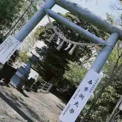 佐波波地祇神社(茨城県)