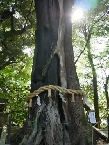 常陸國總社宮(茨城県)