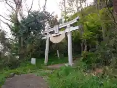 愛宕神社の鳥居