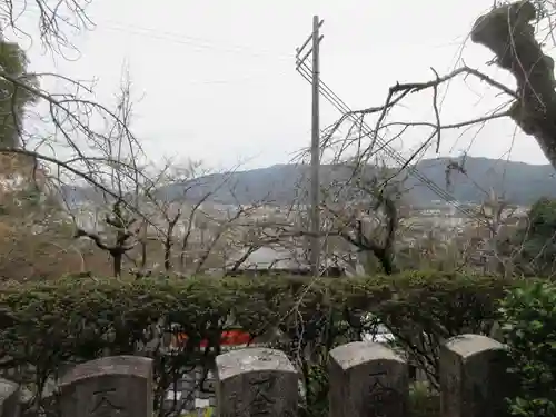 岩屋寺の景色