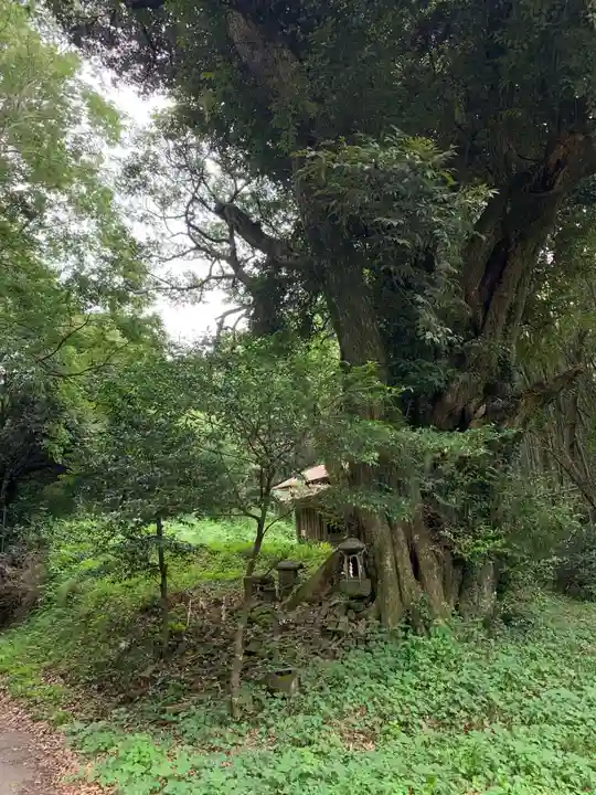 観音堂(千葉県)