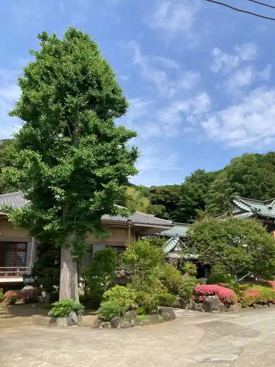 多聞院(神奈川県)