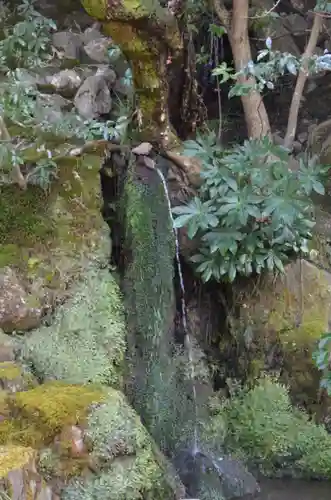 慈照寺（慈照禅寺・銀閣寺）(京都府)