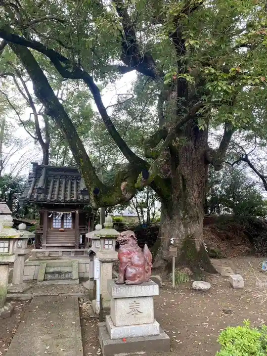 道明寺天満宮(大阪府)