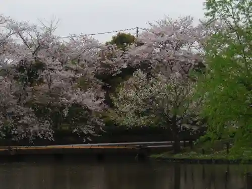 鶴岡八幡宮の庭園