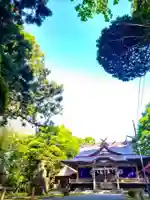 尻岸内八幡神社の本殿・本堂