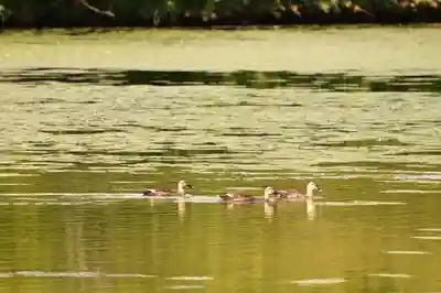 大覚寺(京都府)