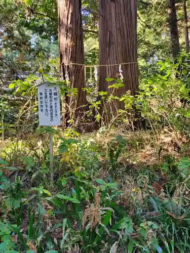 側高神社の自然