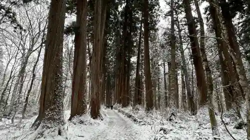 戸隠神社九頭龍社(長野県)