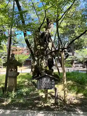 蠶養國神社(福島県)