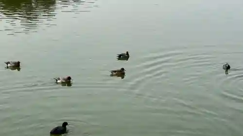 橿原神宮(奈良県)