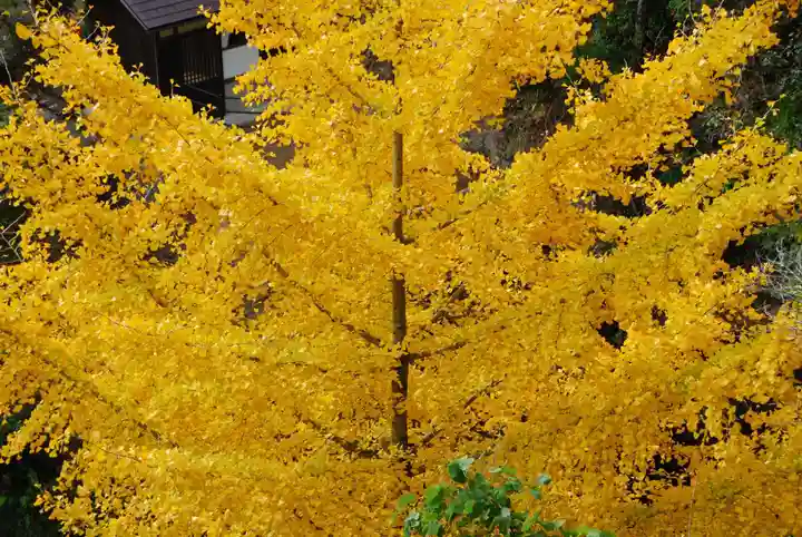 麻羅観音(山口県)