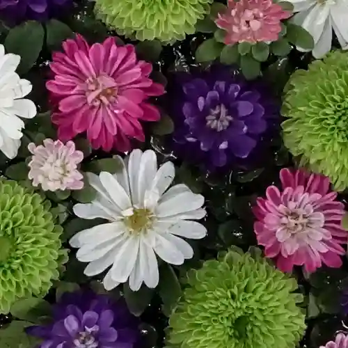 帯廣神社の手水舎