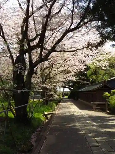 川津来宮神社の建物その他