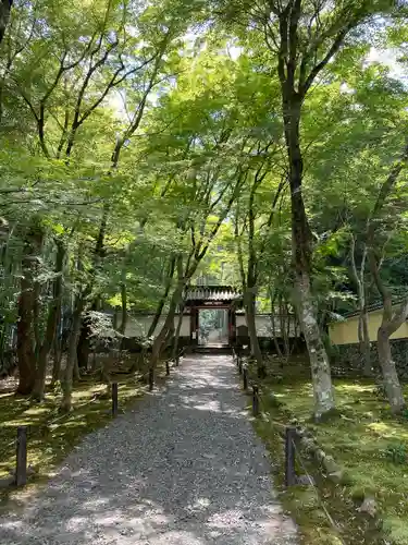 地蔵院(京都府)