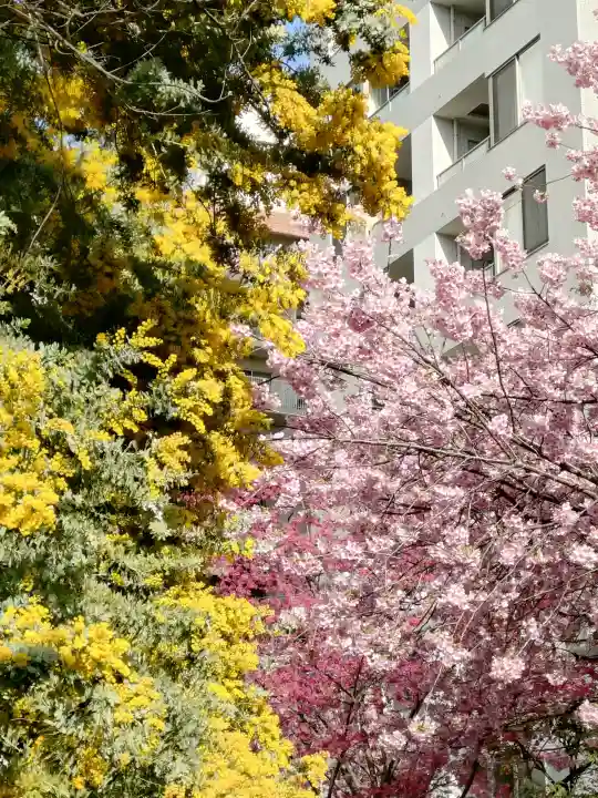 蔵前神社の{uncategorized: "未分類", other: "その他", undefined: "問題あり", building: "その他建物", grave: "お墓", sacred_gate: "鳥居", guardian: "狛犬", statue: "像", buddha: "仏像", history: "歴史", nature: "自然", garden: "庭園", animal: "動物", pagoda: "塔", temizu: "手水舎", mountain_gate: "山門・神門", sanctuary: "本殿・本堂", subordinate: "末社・摂社", art: "芸術", scenery: "景色", jizo: "地蔵", ema: "絵馬", goshuin: "御朱印", omikuji: "おみくじ", items: "授与品その他", amulet: "お守り", goshuincho: "御朱印帳", eats: "食事", festival: "お祭り", votive_dance: "神楽", shichigosan: "七五三参", wedding: "結婚式", experience: "体験その他", initially: "初詣", around: "周辺", anti_infection: "感染症対策"}