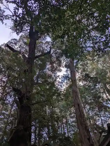 牛庭神社(三重県)