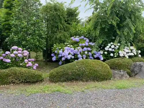 長明寺の庭園