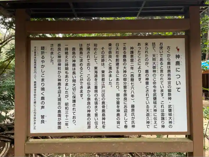 鹿島神宮(茨城県)