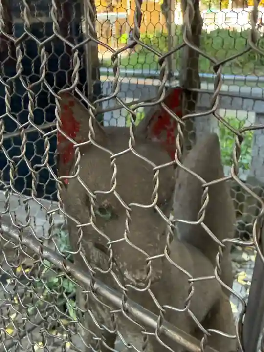 千種稲荷神社(東京都)