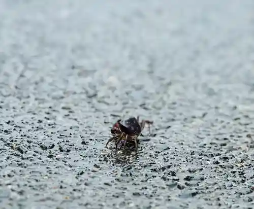 総見寺(滋賀県)