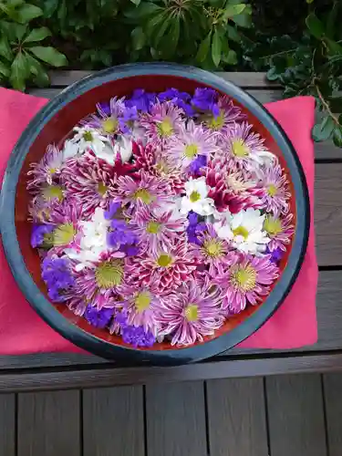 増上寺塔頭 三縁山 宝珠院の手水舎