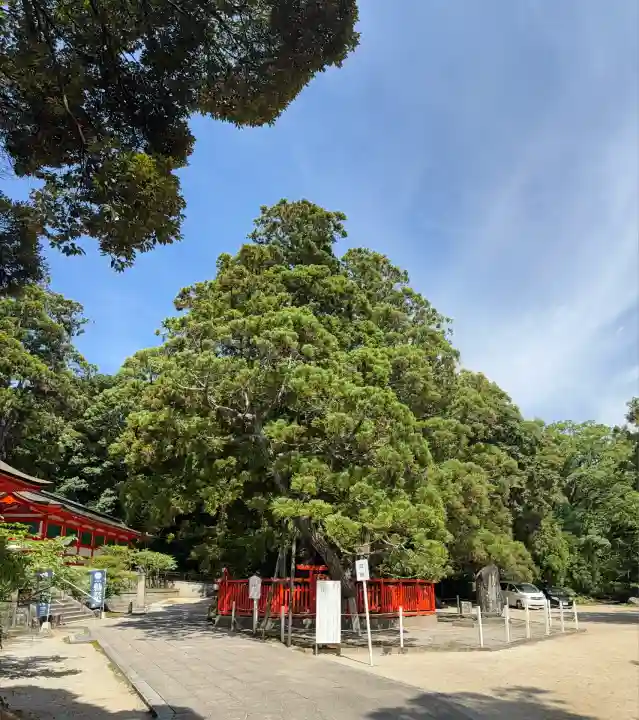 香椎宮(福岡県)