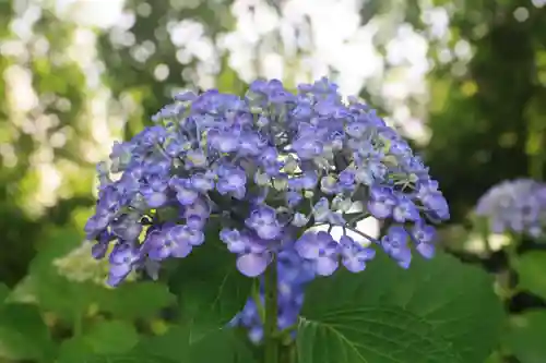 豊景神社の庭園